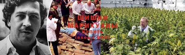 гидра Пестово